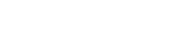 endrix logo  1