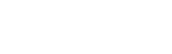 logo stengelin 1