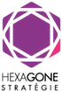 Hexagone Stratégie Logo