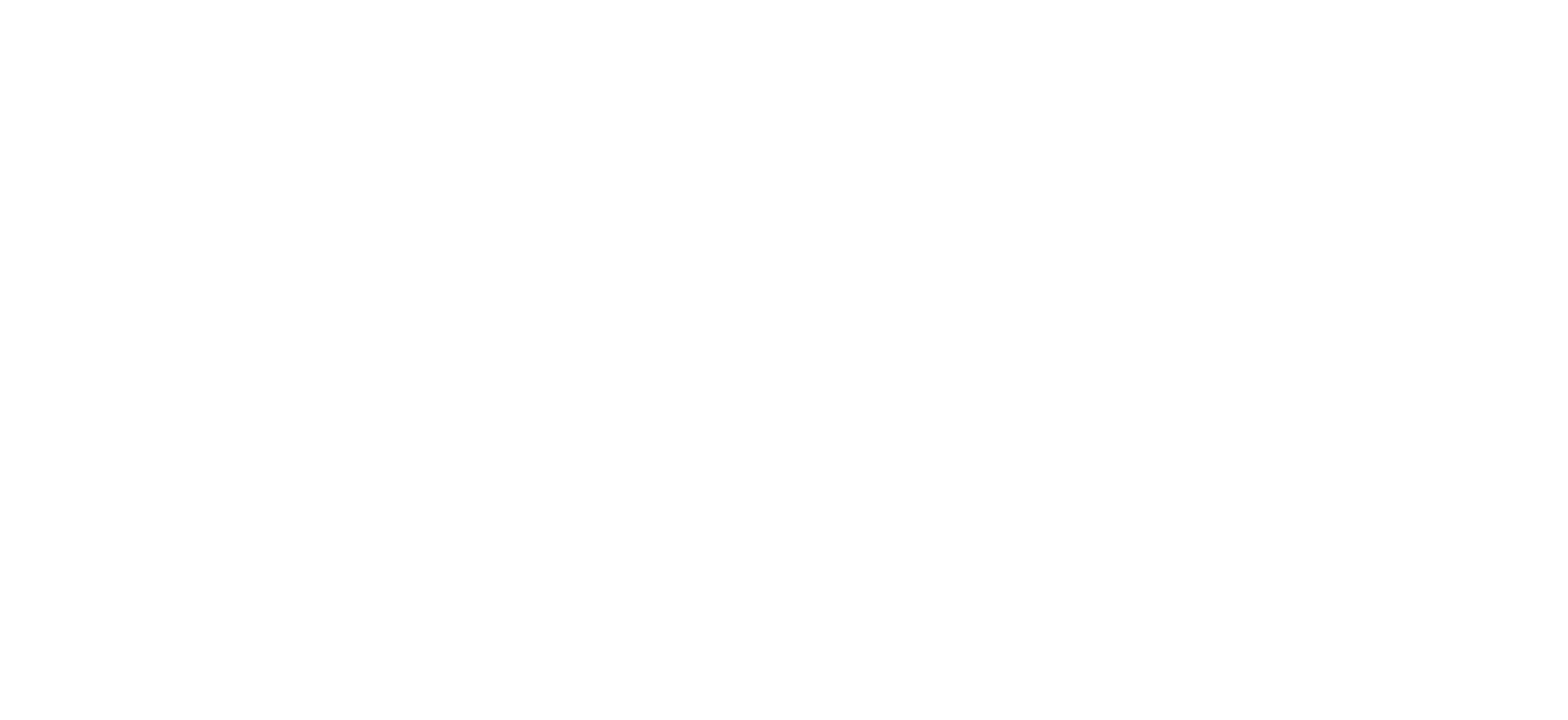 Logo Hexagone Stratégie blanc